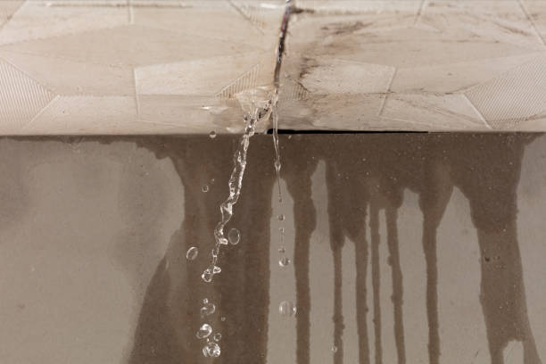 Professional Water Damage Restoration technician working in Pointblank, TX